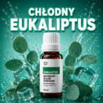 Eukaliptus