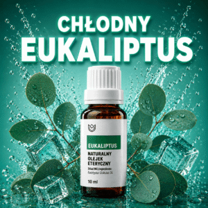 Chłodny Eukaliptus